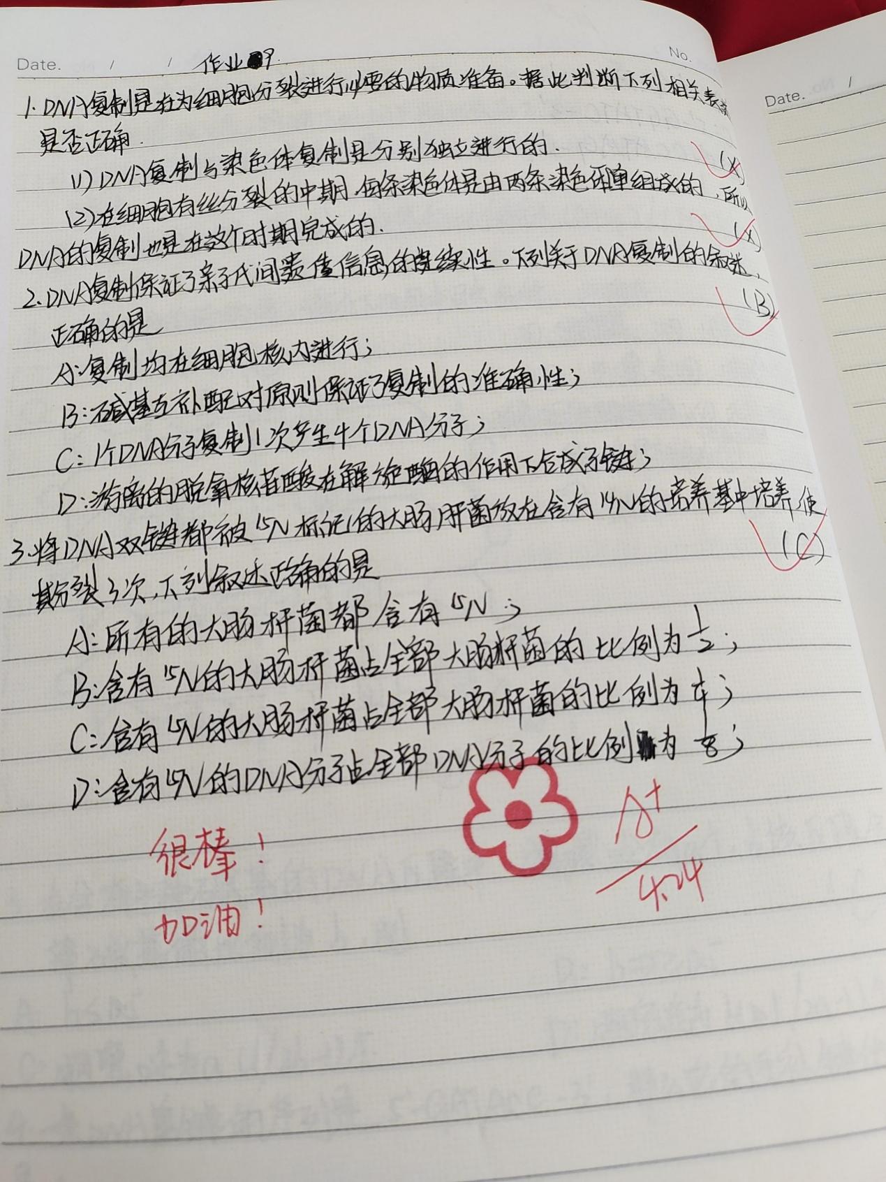 image1.jpeg